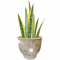 DONICZKA BOHO BETONOWA 18cm NA PARAPET ZIOŁA BONSAI BALKON TARAS OSŁONKA
