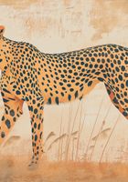 Plakat 70x100cm Gepard w Ruchu