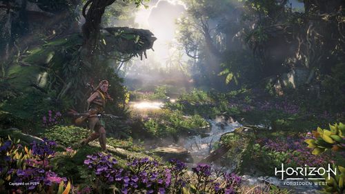 Gra PS4 Horizon Forbidden West (Kompatybilna z PS5) na Arena.pl
