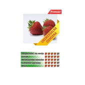 TRADYCYJNA TRUSKAWKA odmiana POLKA, 10 szt. sadzonek ukorzenionych