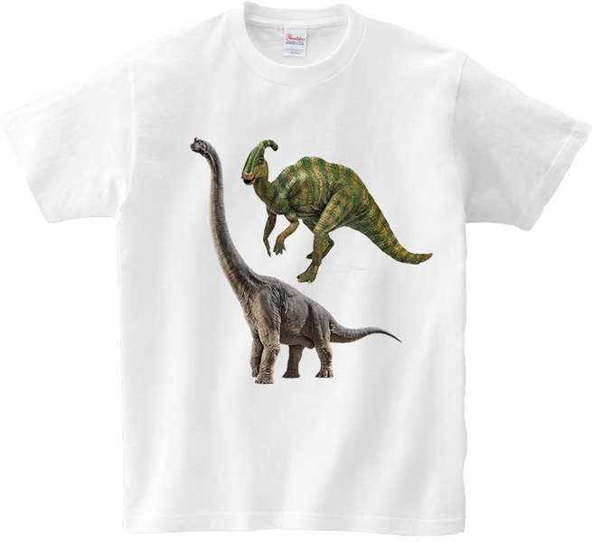 Koszulka T-shirt Dinozaury zdjęcie 1
