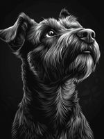 Plakat 60x80cm Portret Zwierząt do Salonu Pokoju | Terier | Czarno Białe