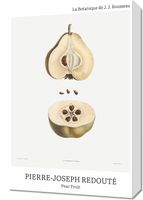Obraz 40x60cm Design Pear Fruit, Redoute Vintage do Salonu