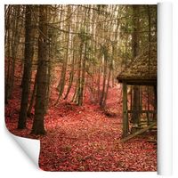 Fototapeta Las Jesień Natura do Sypialni 270x180