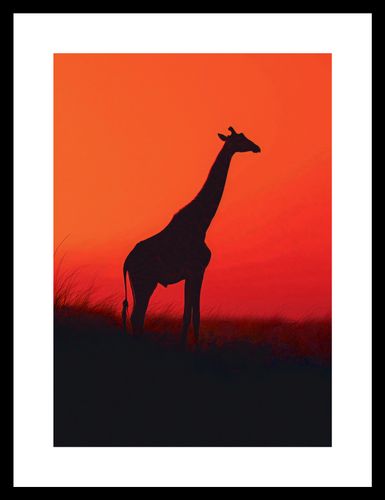 Plakat 21x29,7cm Żyrafa w Czerni na Arena.pl