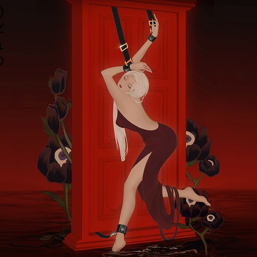 Upko Over the Door Hand Restraints na Arena.pl