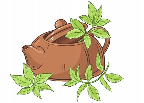 ORYGINALNA SENCHA MAKATO - JAPOŃSKA HERBATA (50g) na Arena.pl