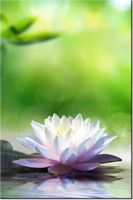 product-compare-58703368