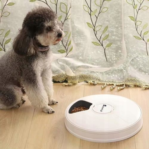Automatyczny podajnik P70394 do karmy dozownik dla psa kota na Arena.pl