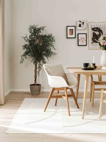 RUG/BENUT/ISLA/CREAM/160x230 na Arena.pl