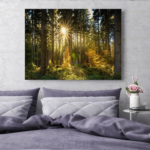Obraz na płótnie - Canvas, Słońce w lesie 90x60 na Arena.pl