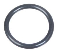 Oring Cedrus myjka ciśnieniowa MC110 560123