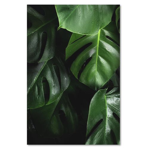 Deco Panel, Soczysta zieleń 40x60 na Arena.pl