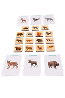 Drewniana gra memory - Zwierzęta z polskich lasów z kartami edukacyjnymi