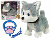 Interaktywny Piesek Husky Smycz Piosenki