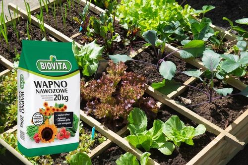 Wapno Nawozowe Pyliste Naturalne Źródło Wapnia dla Gleby 20kg Biovita na Arena.pl