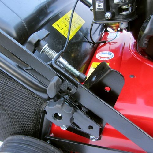 Pubert Cesar 45P na Arena.pl