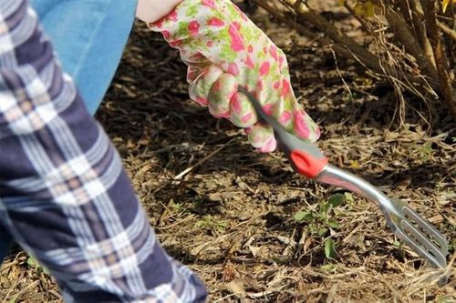 Rękawice ogrodowe na Arena.pl