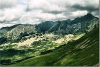 product-compare-58694022