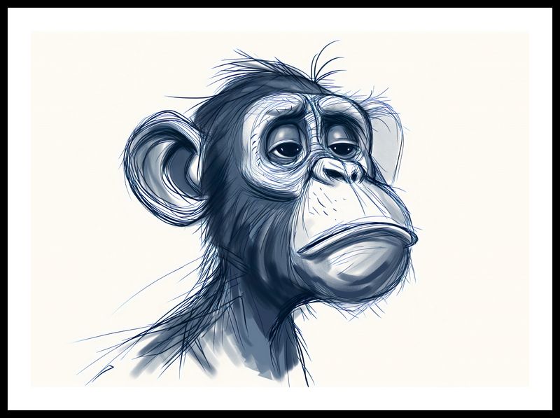 Plakat 70x50cm Zaduma zdjęcie 3