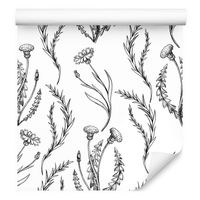 Tapeta do jadalni vintage dmuchawiec mlecz rośliny