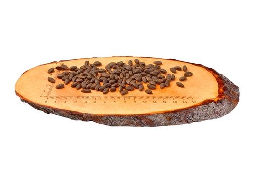 Karma dla kotów długowłosych z wrażliwym żołądkiem - Carnilove ŁOSOŚ 2kg na Arena.pl