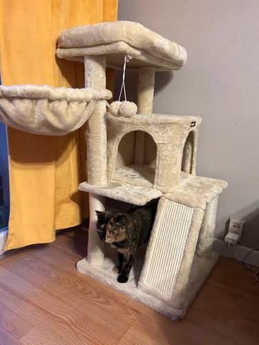 DRAPAK DLA KOTA KOTÓW STABILNY LEGOWISKO WIEŻA SŁUPEK DOMEK 3 POZIOMY na Arena.pl