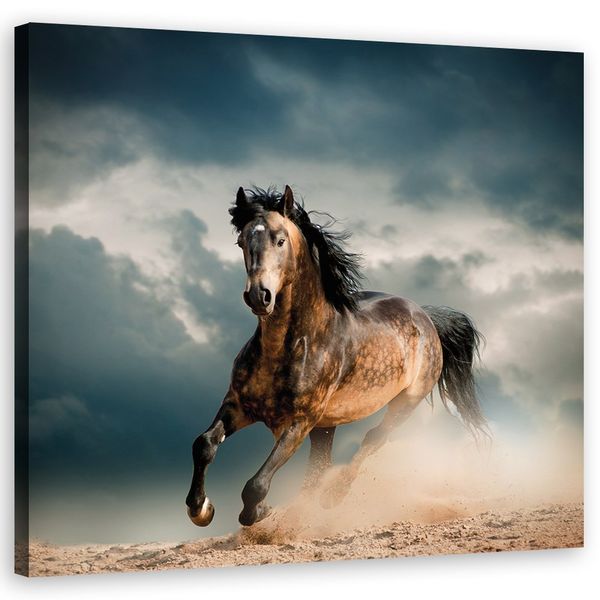Emaga Obraz na płótnie, Galop konia - 40x40 zdjęcie 1