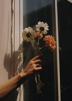 product-compare-59366798