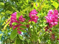 product-compare-61065746