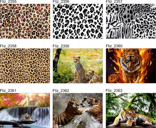 FOTOTAPETA JEDNOROŻCE LAS NATURA na Arena.pl