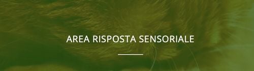 Perognidol Forte cane a gatto NBF Lanes - TABLETKI na Arena.pl