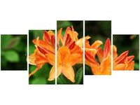 70CM 150CM OBRAZ 5 ELEM AZALIA POMARAŃCZOWA ŚCIENNY