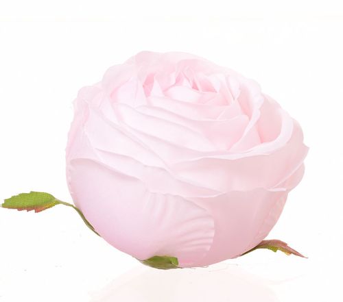 Róża główka różowa na Arena.pl