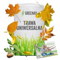 TRAWA NASIONA traw 5kg samoZAGĘSZCZAJĄCA trawnik Szybko ODPORNA na DEPTANIE