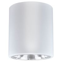 Natynkowa LAMPA stropowa JUPITER 13 307187 Polux downlight OPRAWA sufitowa TUBA metalowa biała