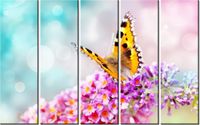 70CM 150CM OBRAZ 5 ELEM MOTYL KWIATKACH ŚCIENNY