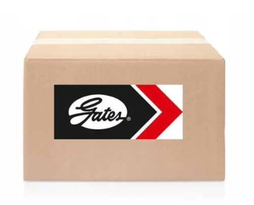 PASEK /MICRO/ 4PK/613 GATES na Arena.pl