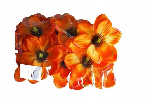 Gąbka mokra florystyczna cegła pianka zielona 20 sztuk ! na Arena.pl