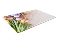 SZKLANA DESKA KUCHENNA 40x30 540b Pastelowe jajka