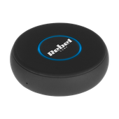 Odbiornik Bluetooth audio Rebel B20