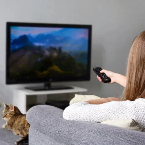 DEKODER TUNER TV NAZIEMNEJ HD DVB-T2 HEVC H.265 na Arena.pl