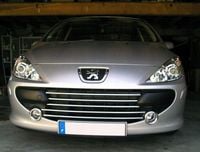 PEUGEOT 307 Lift Listwy CHROM GRILL atrapa Tuning