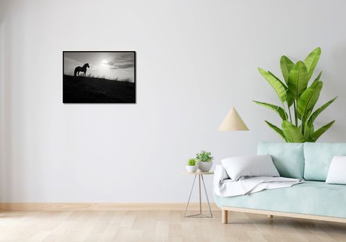 Plakat 70x50cm Księżycowa Straż na Arena.pl