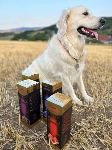 VITAR Veterinae Olej Lniany 1000 ml - lśniąca sierść, doskonałe źródło na Arena.pl