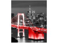 OBRAZ DRUK TOKYO MOST TĘCZOWY CZERWIENI