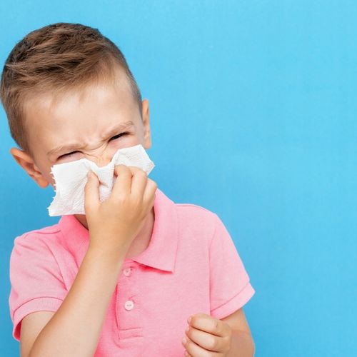 CHUSTECZKI HIGIENICZNE Alice 12x 100 sztuk 2W CELULOZA WYCIĄGANE W PUDEŁKU na Arena.pl