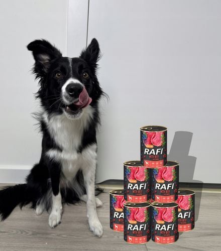 zestaw 6x400g karma mokra dla psów rafi mix smaków (jagnięcina, wołowina) na Arena.pl