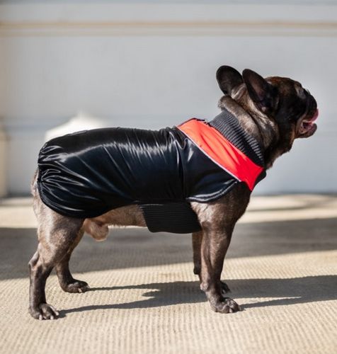 Chaba Ubranko Regulowane Wear Magnifique 2Xl Czerwone na Arena.pl