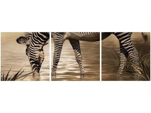 90X30CM ZEBRA WODOPOJU TRÓJ OBRAZ na Arena.pl